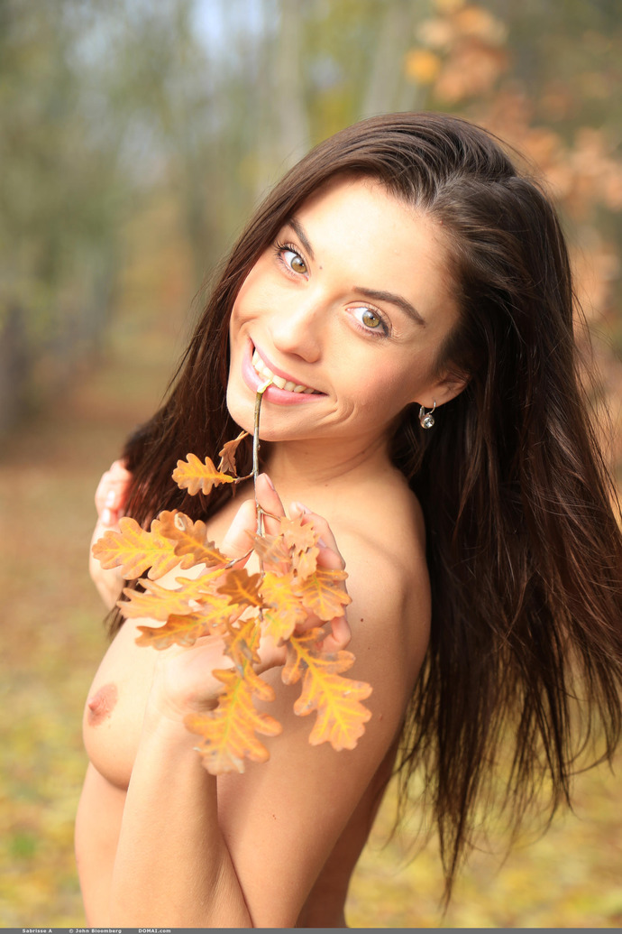 Autumn 15