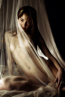 Veronika Provocation